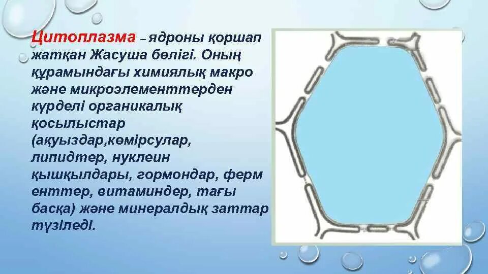 Цитоплазма место расположения в клетке Protoplast Зображення - огляд 261 Стокові фото, векторні зображення й відео Adob