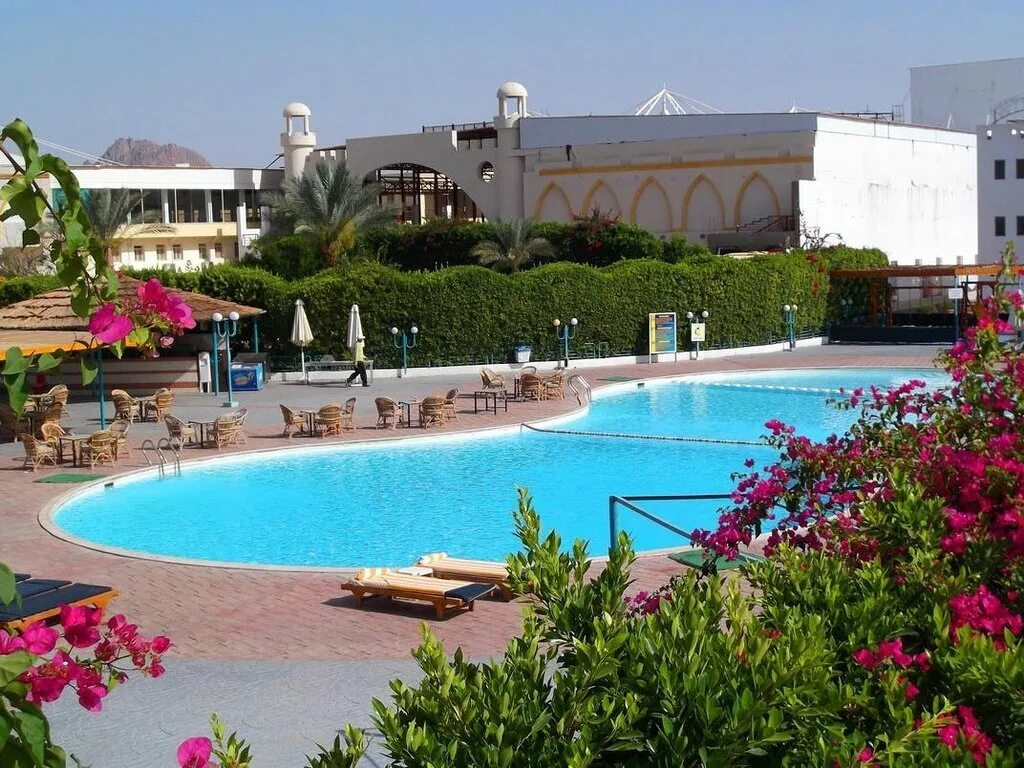 Шарм клифф резорт шарм эль шейх. Отель шарм клиф резорт шарм-эль-шейх. Шарм клиф резорт шарм-эль-шейх. Sharm cliff resort 4 египет шарм-эль-шейх. Шарм клифф резорт 3 шарм-эль-шейх.