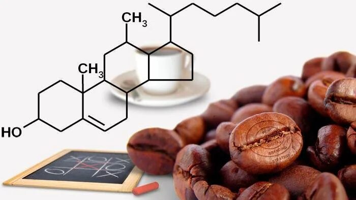 Влияние кофеина. Кофеин в организме человека. Влияние кофеина на организм человека. Кофе и холестерин. Кофеин и витамины