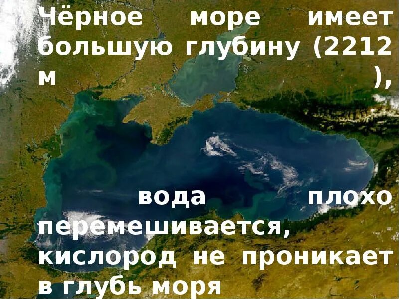 Наибольшую глубину имеет. Экология черного моря. Экология черного моря доклад. Экология черного моря на сегодняшний день. Черное море экология сегодня.