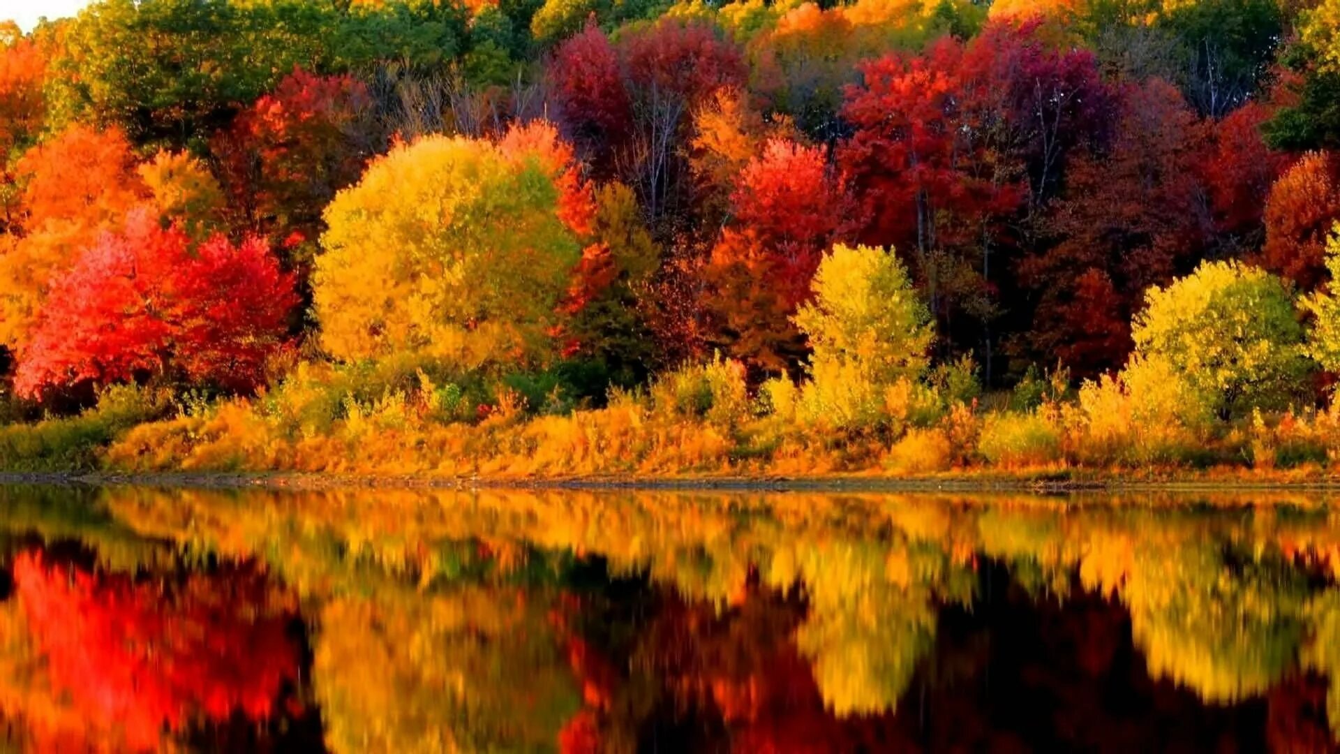 Картинка времена года осень. Красивая осень. Осенний пейзаж. Природа осень. Сентябрь природа.