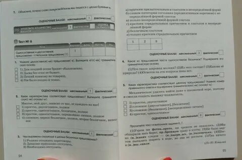 Русский язык 8 класс капинос
