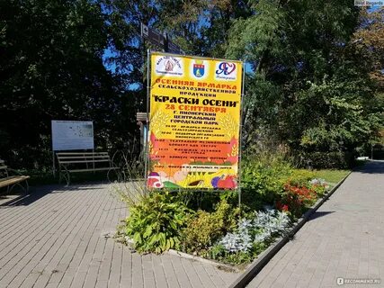Камера пионерский калининградская область