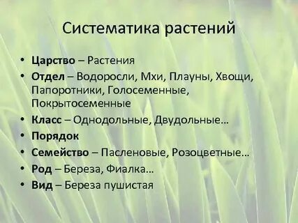 Систематика растений изучает водоросли
