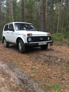 Нашла нива