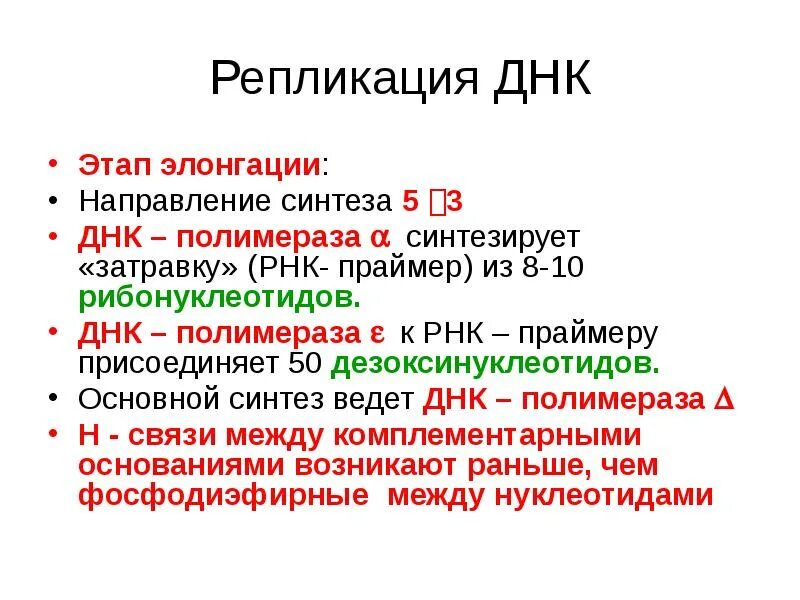 Элонгация репликации ДНК. Этап элонгации в репликации ДНК. Стадии репликации элонгация. Инициация элонгация терминация репликации ДНК.