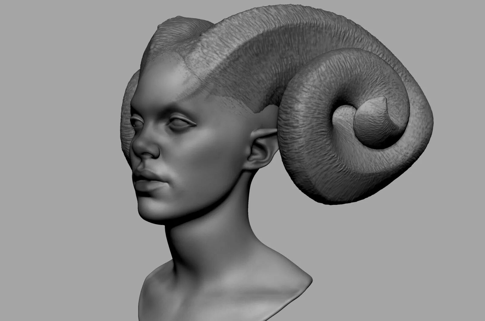 Helmut child. Голова Zbrush. Zbrush female creatures. Волосы у животных в Zbrush.