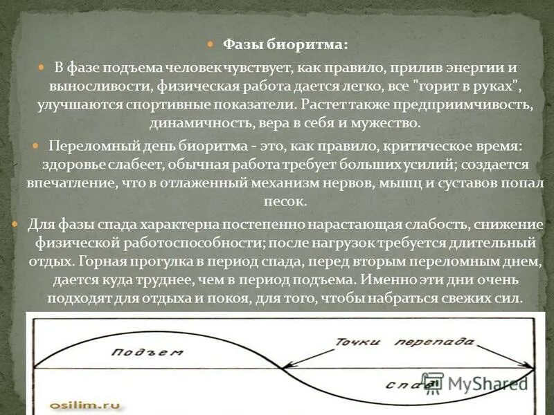 Фазы цикла в экономике. Характеристика фазы подъема. До фазы оживления. Стадия подъема. Фаза кризиса экономического цикла.