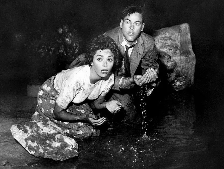 1956 похититель тел. Вторжение похитителей тел (1955). вторжение похитителей тел 1956. invasion of the body snatchers 1956.