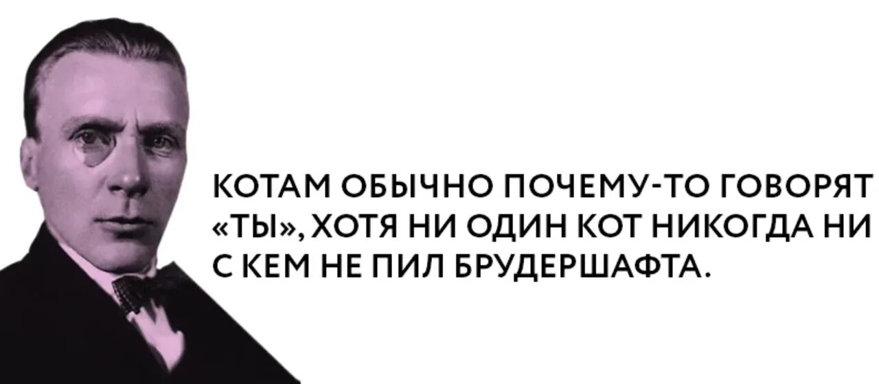 Не просите у сильных булгаков. Высказывания м. Булгакова. Булгаков высказывания. Цитаты Булгакова.