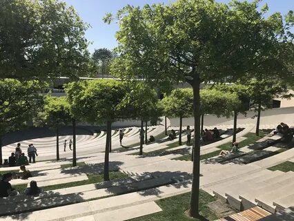 Адрес последний раз сему видели в парке