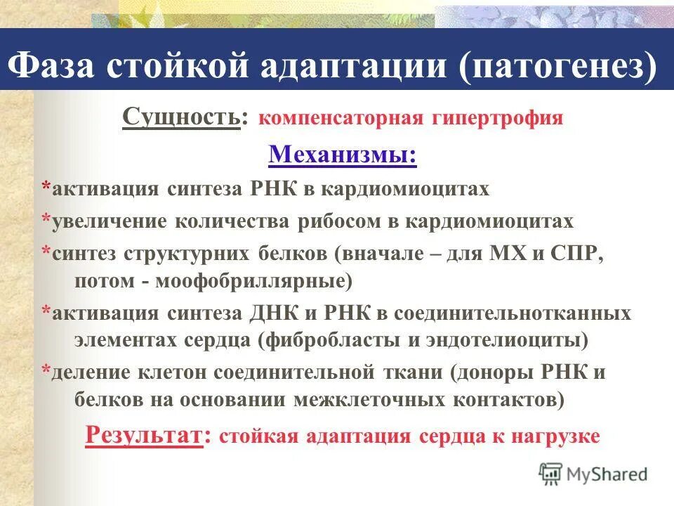 Гиперфункция миокарда. Гиперфункция миокарда