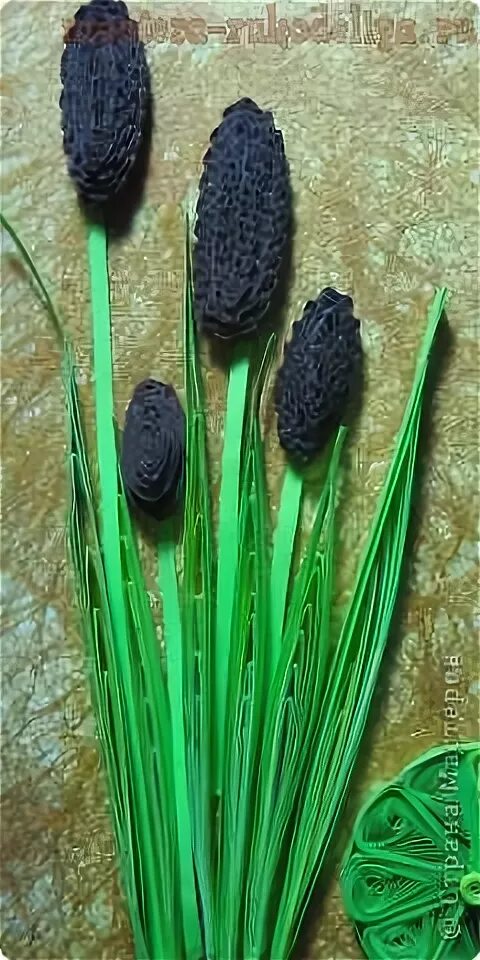 Рогоз своими руками. Рогоз своими руками. Рогоз декоративный. Рогоз декоративный. Камыш из бисера.