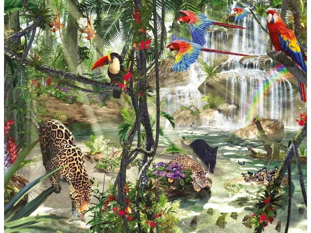 Животные тропического леса картинки. Ravensburger 18000. пазл 2000 джунгли. животные джунглей. тропический лес животные.