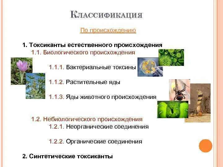 Биологические токсины животного происхождения. Факторы определяющие картину отравления зоотоксинами. Биологические токсины животного происхождения. Стабилизаторы животного, растительного, микробного происхождения. Химия и пища.