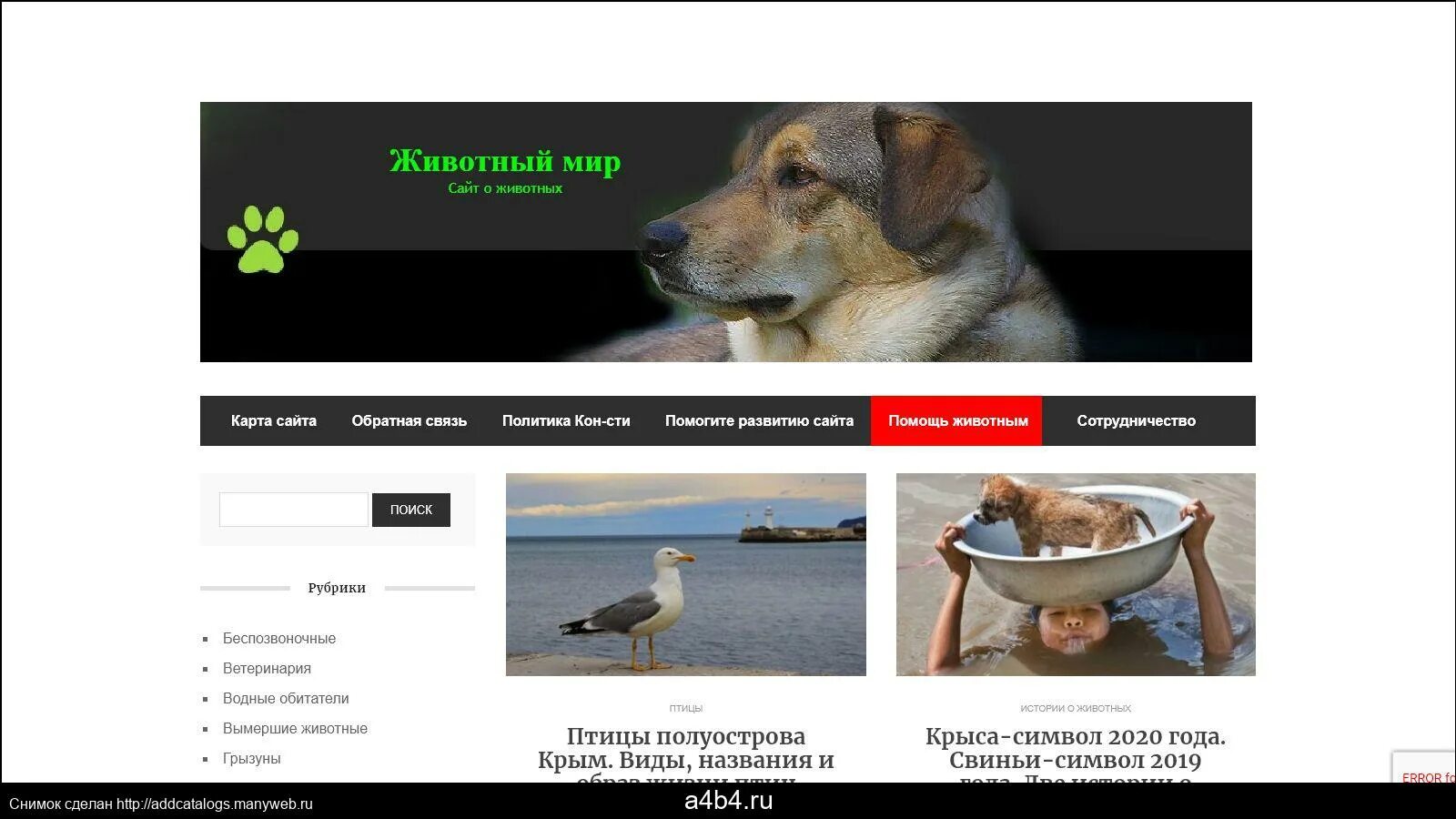Работа 2.6 разработка сайта животный мир. Работа 2.6 разработка сайта животный мир