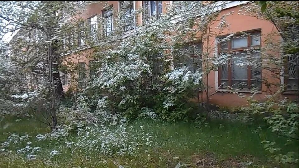 Снято в белорецке. Осадки в Белорецке. Дождь в Белорецке. Погода в Белорецке на сегодня и завтра.