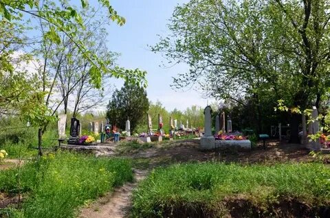 Погода в терпенье