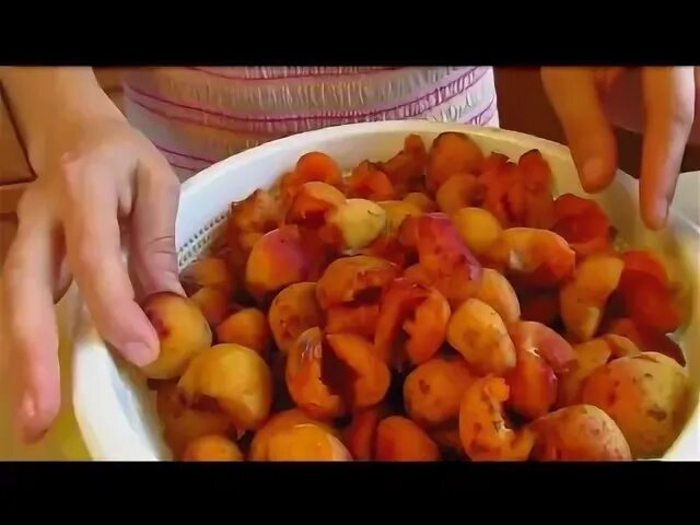 Абрикосы видео