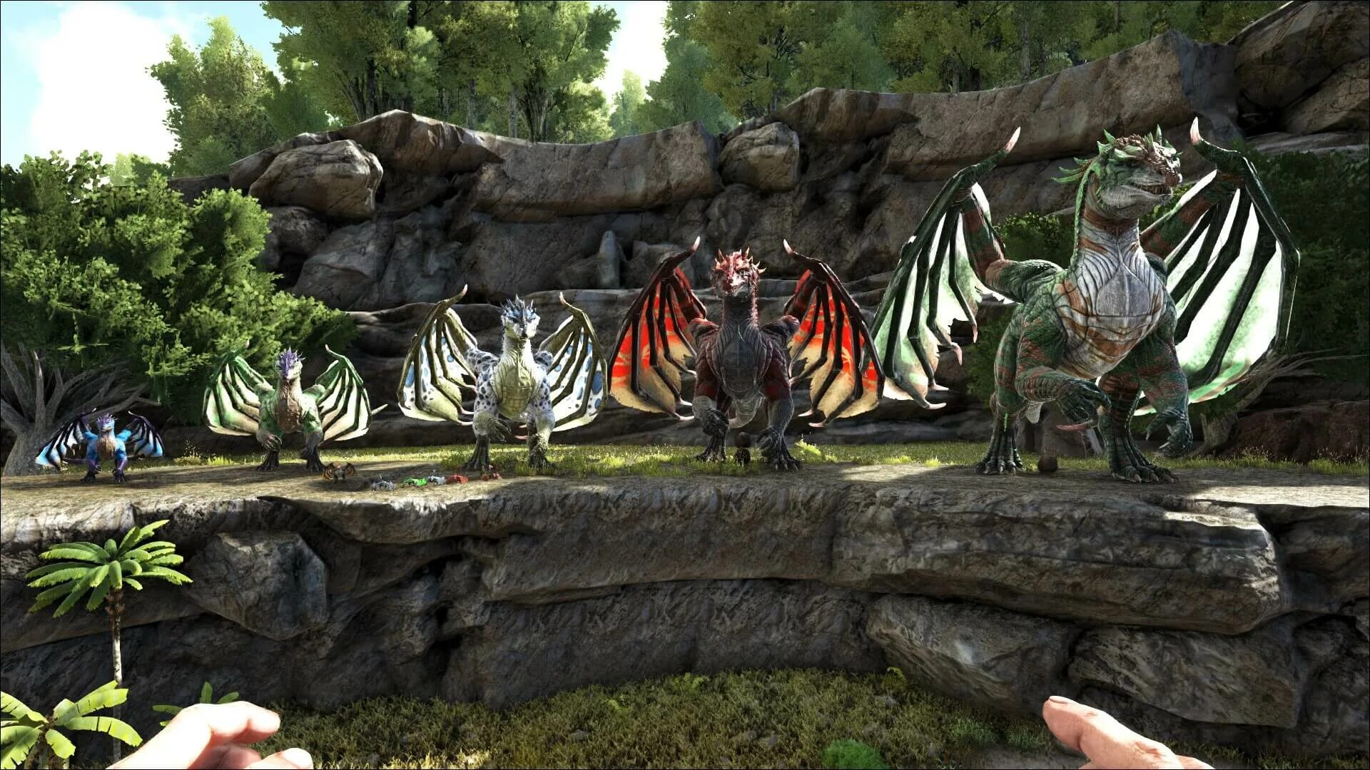 Ark Survival Evolved дракон. Мейвинг АРК. Dragons Evolved мод на АРК. Ark Survival Evolved Мэйвинг. Ark evolved mod