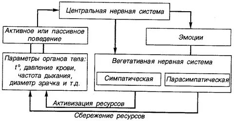 Активное и пассивное поведение