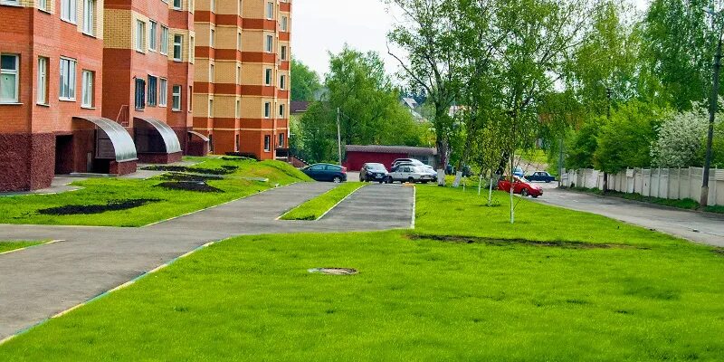 Газон во дворе многоэтажного дома. Благоустройство дворовых территорий многоквартирных домов. Многоэтажки, рядом газон. Газон мкд. Газон во дворе многоквартирного дома.