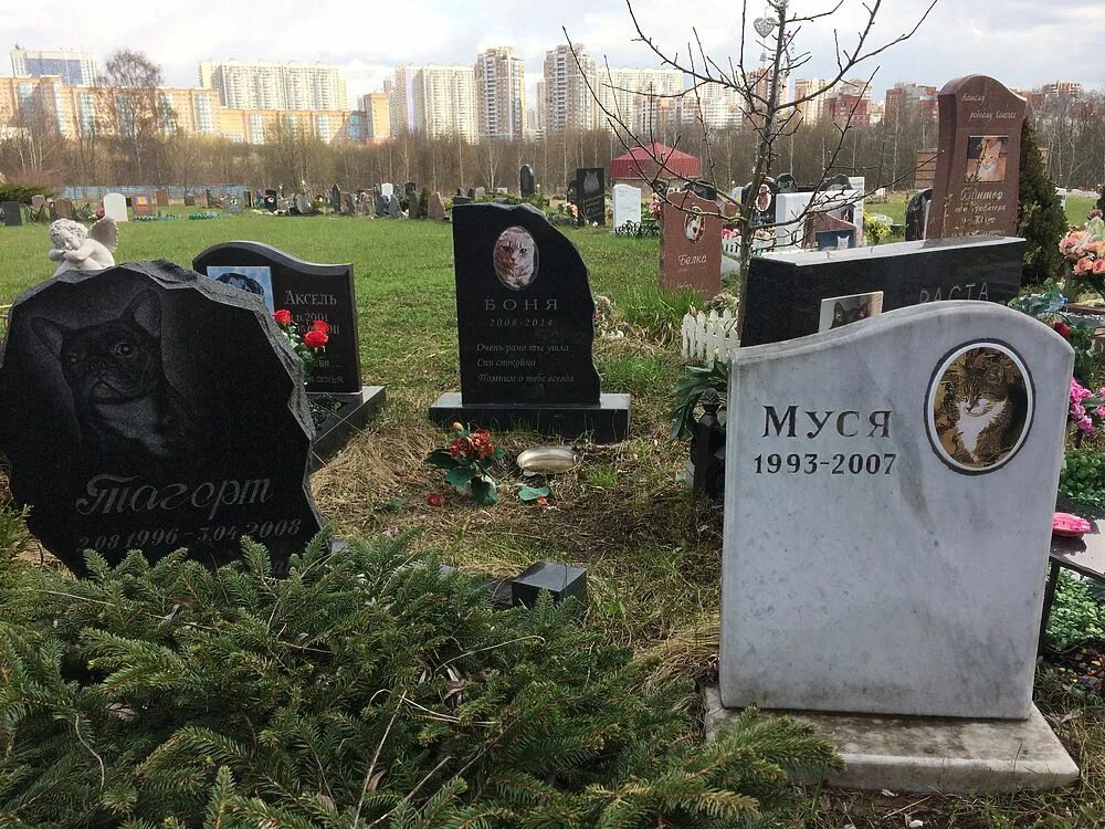 Заказать Памятник для животных PZiv_018 в Крыму по низкой цене Памятники для жив