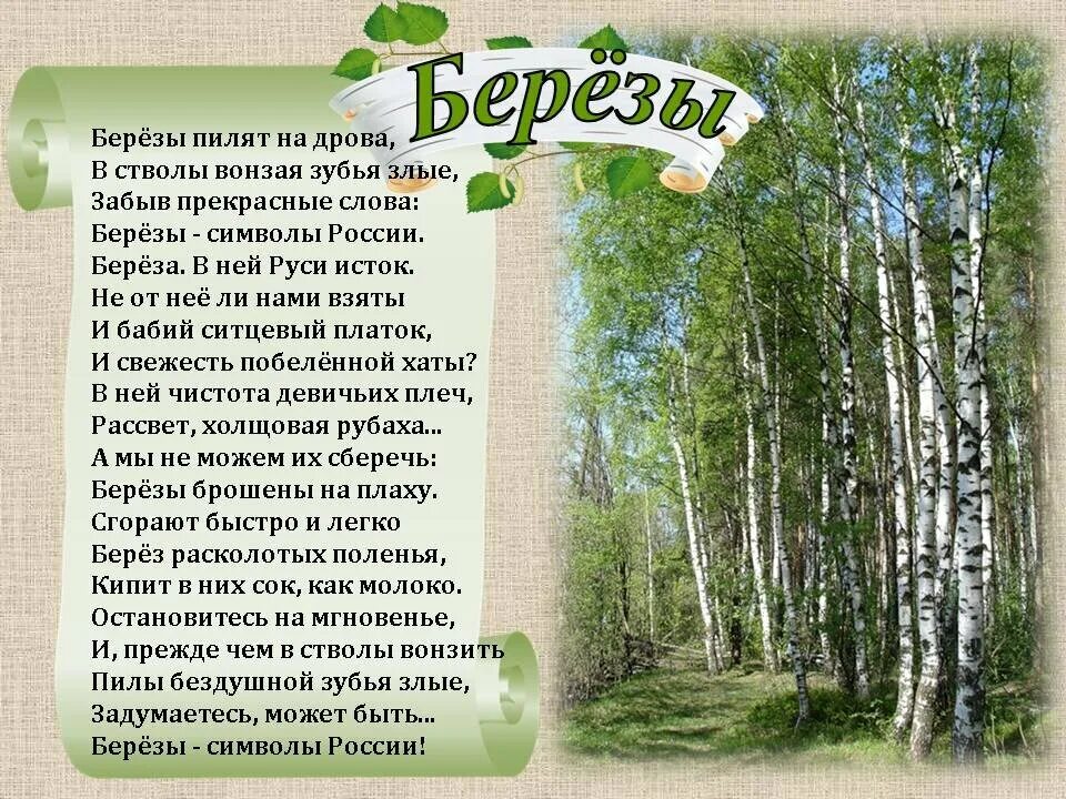 Прогноз березка. Стихотворение береза. Стих про березу. Береза символ России стихотворение. Стихи о русской Березе.