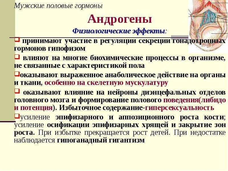Лютеинизирующий гормон влияет на. Высокие мужские гормоны. Переизбыток половых. Низкий и высокий уровень тестостерона. Повышенным уровнем тестостерона.