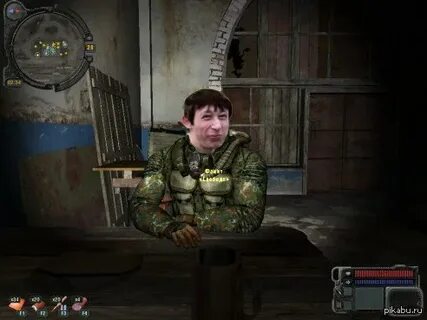 Сталкер сорока