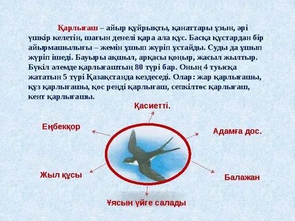 Жатырдың 3gp фистингінің видеосы