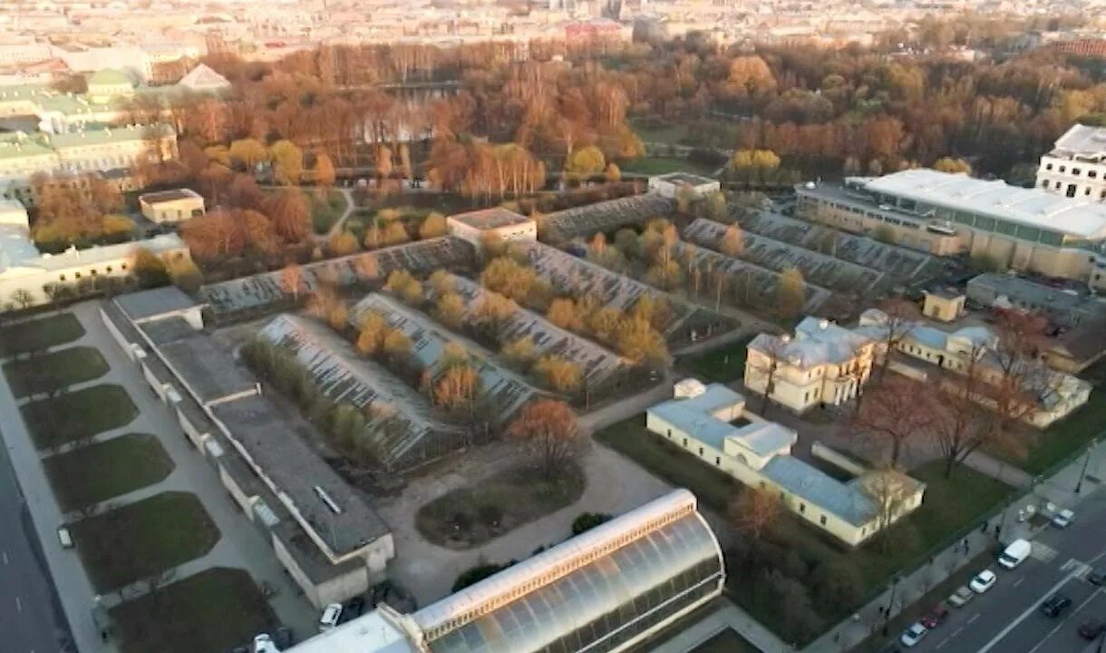 Таврический сад когда откроется 2024. Плотная посадка деревьев. Мосты таврического сада. Таврический сад когда откроется 2024. Таврический сад город+.