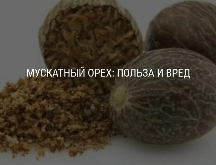 Мускатный орех наркология. Мускатный орех польза. Полезны Мускат орехи. Чем полезен мускатный орех. Мускатный орех польза и вред