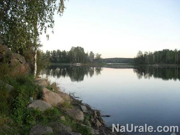 Поликарповский пруд миасс. Первомайка миасс пруд. Пруд чистый миасс. Городской пруд миасс. Озеро за полекарповским прудом миасс.