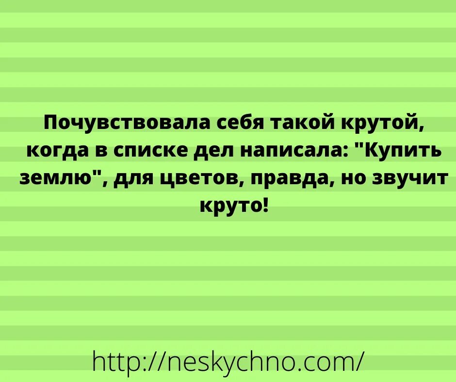 Анекдот несколько лет. Анекдот несколько лет