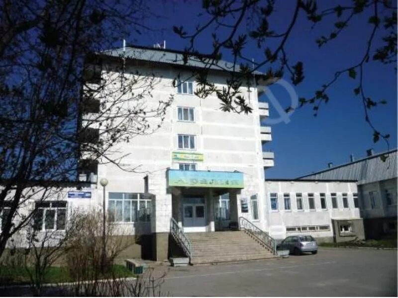 жк аралия. аралия южно сахалинск. аралия южно сахалинск. аралия маньчжурская. ресторан аралия южно-сахалинск.