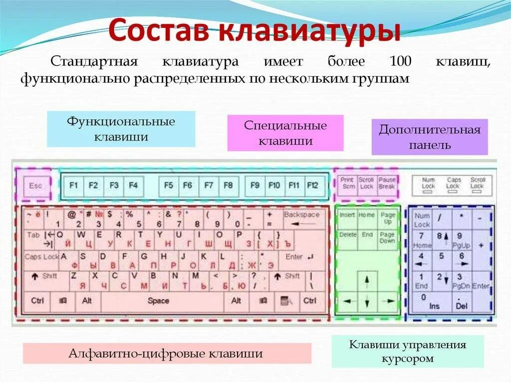 Работает часть клавиш. Строение кнопок компьютерной клавиатуры. Таблица функции клавиш клавиатуры. Назначение клавиш цифровой клавиатуры -. Строение клавиатуры схема.