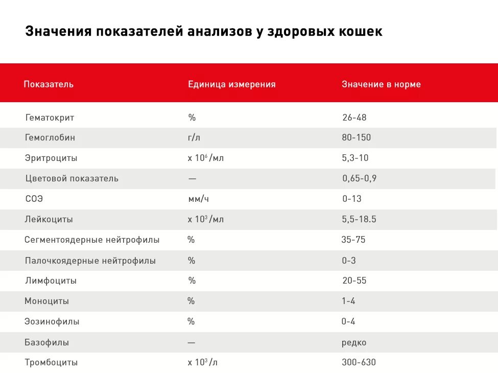 Моче у кошки повышены. Нормальные показатели общего анализа крови у кошек. Биохимические показатели крови кошек в норме. Показатели крови в норме у кошек таблица. Нормы анализа мочи у кошек таблица.