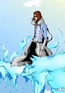 Coyote starrk
