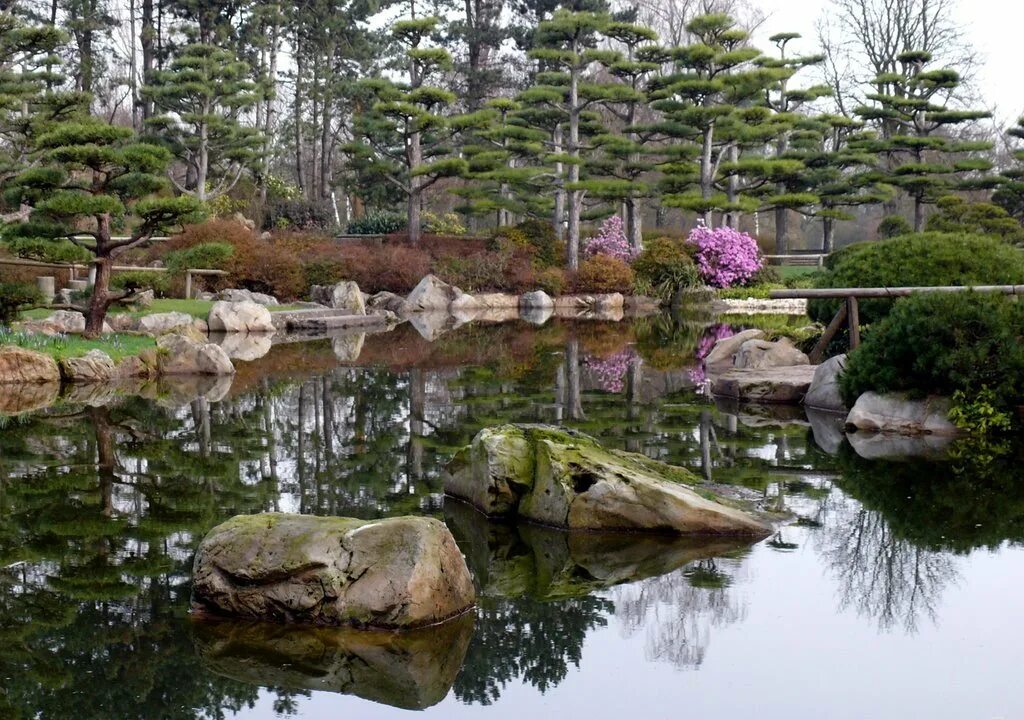 японский сад главного ботанического сада. ботанический сад петра великого в санкт-петербурге японский сад. ботанический сад цицина японский сад. монреальский ботанический сад японский сад. главный ботанический сад москва японский сад.