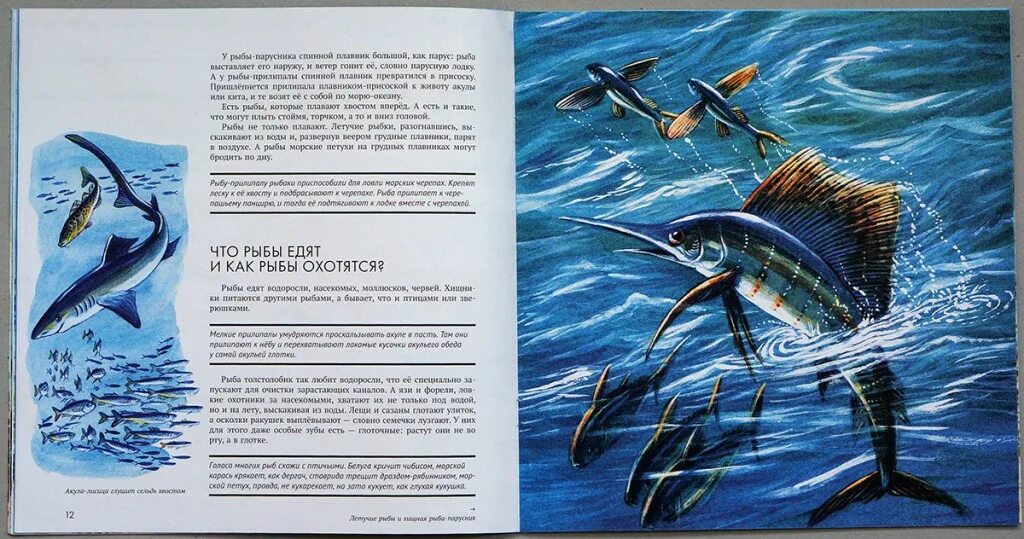 Книги о рыбах много. Рассказ о рыбе. Художественные книги про рыб для детей. Лучшие книги про рыб для детей. Прочитайте рыбе вода