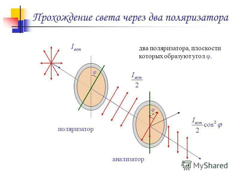 Плоскость колебаний светового вектора. Поляризатор. Интенсивность линейно поляризованного света. Прохождение света через поляризатор. Закон малюса.