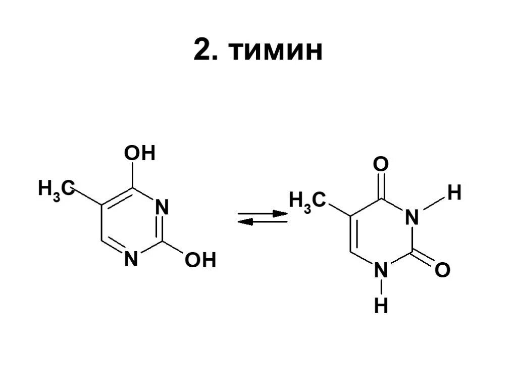Тимин формула. Структурная формула Тимина. Химическая формула Тимина. Тимин структурная формула.