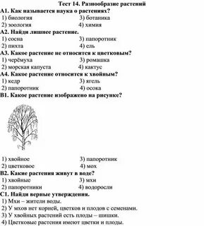 Тест биология 6 класс растения живой организм
