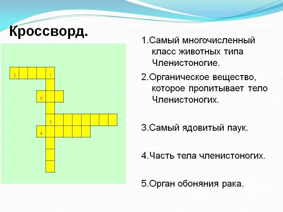 Кроссворд членистоногие 7 класс с ответами. Кроссворд на тему членистоногих. кроссворд по типу членистоногих. тип членистоногие кроссворд. кроссворд класс ракообразные.