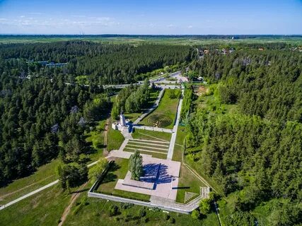 Лесной тольятти