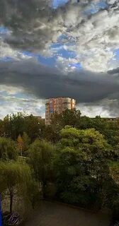 Из моего окна 4 будет ли продолжение