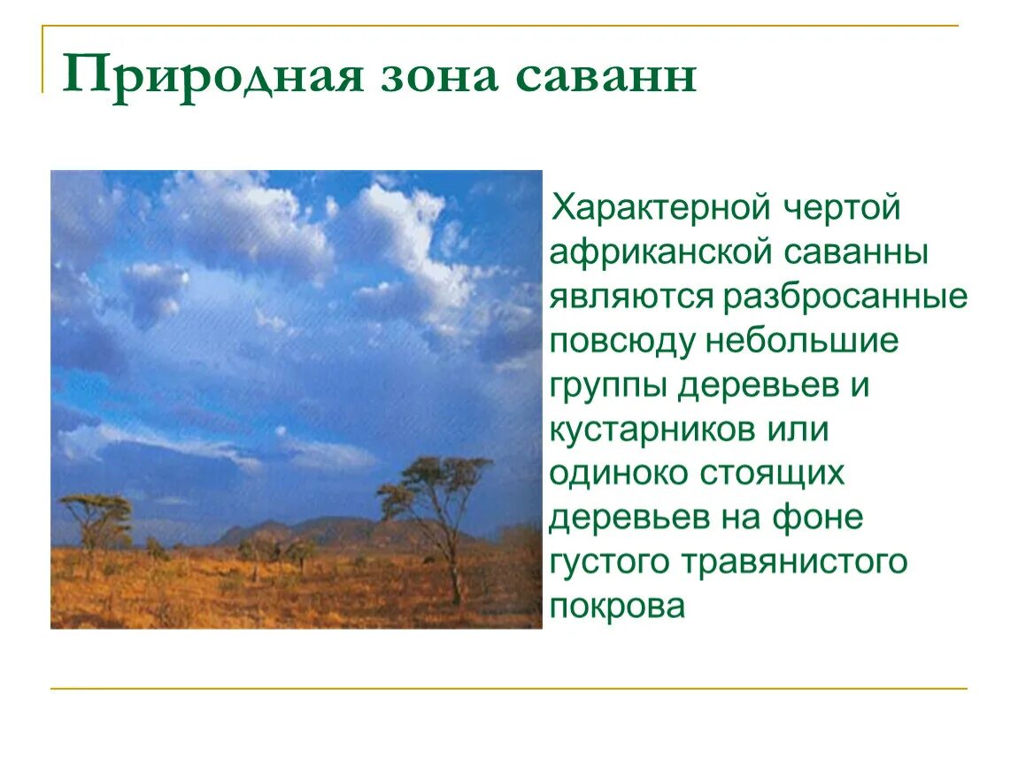 5 природных зон африки. Природные зоны Африки саванны и редколесья. Природные зоны Африки Саванна растительность. Описание природной зоны саванны. Саванна природная зона характеристика.