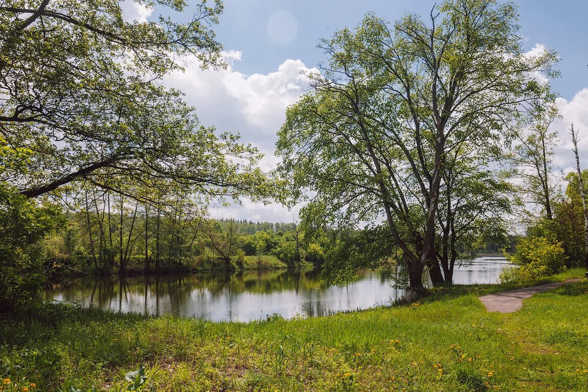 Г. Кожевенный кордон. Река усманка липецкая область. Пляж на кожевенном кордоне воронеж. Пляж на кожевенном кордоне воронеж.