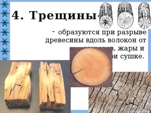 Как называется природный рисунок на поверхности древесины. Порок древесины образующийся при сушке древесных пиломатериалов. образуются при разрыве древесины вдоль волокон. пороки древесины трещины вдоль волокон. пороки высушенной древесины.
